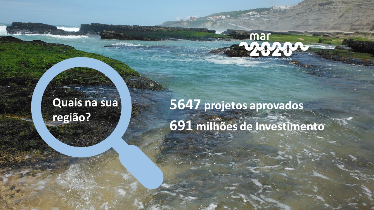 5647 projetos estão a transformar as nossas regiões